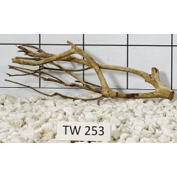 Talawawood 253