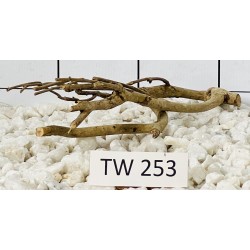 Talawawood 253