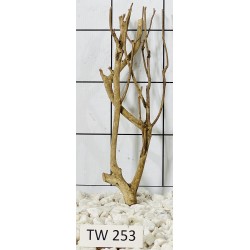 Talawawood 253