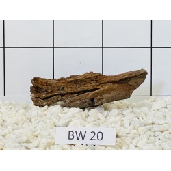 Bogwood 20