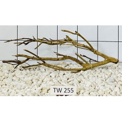 Talawawood 255