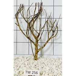 Talawawood 256