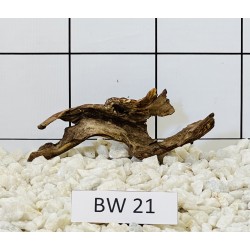 Bogwood 21