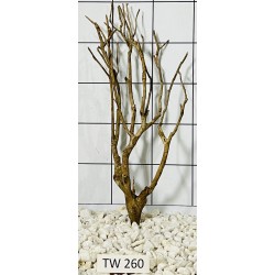 Talawawood 260
