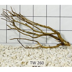 Talawawood 260