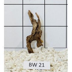 Bogwood 21