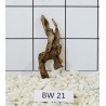 Bogwood 21