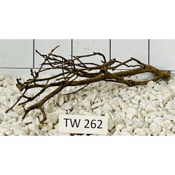 Talawawood 262