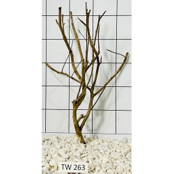 Talawawood 263