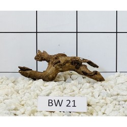 Bogwood 21