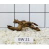 Bogwood 21