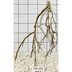 Talawawood 265