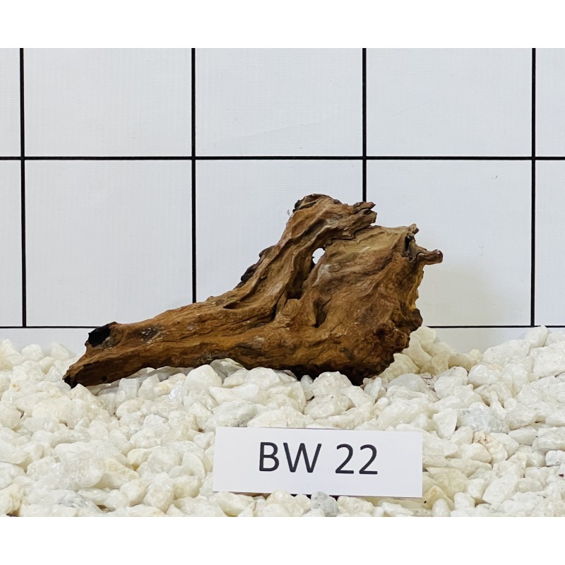 Bogwood 22