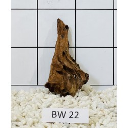 Bogwood 22