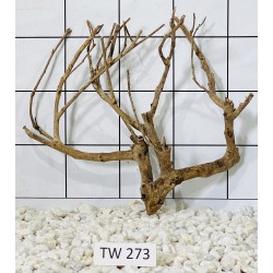 Talawawood 273