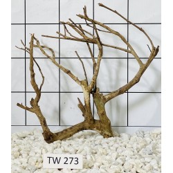 Talawawood 273