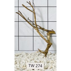 Talawawood 274