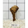 Bogwood 22