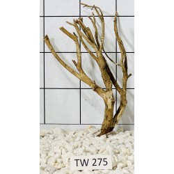 Talawawood 275