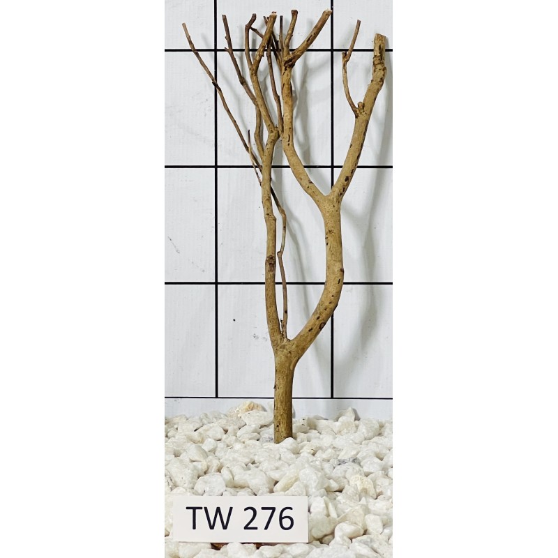 Talawawood 276