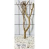 Talawawood 276