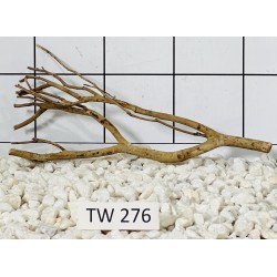 Talawawood 276