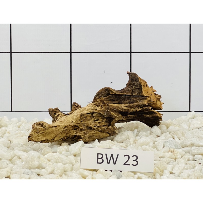 Bogwood 23