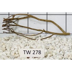 Talawawood 278