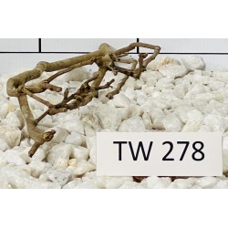 Talawawood 278