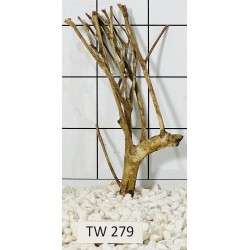 Talawawood 279