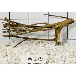Talawawood 279