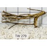Talawawood 279