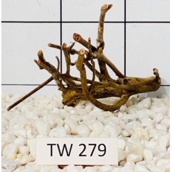 Talawawood 279