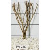 Talawawood 280