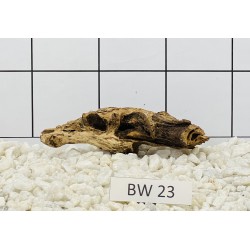 Bogwood 23