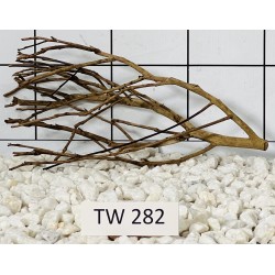 Talawawood 282