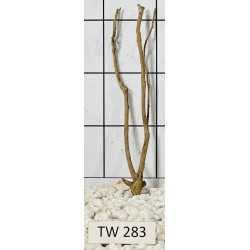 Talawawood 283