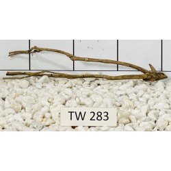 Talawawood 283