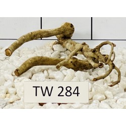 Talawawood 284