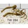 Talawawood 284