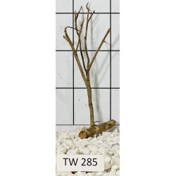 Talawawood 285