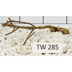 Talawawood 285