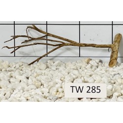 Talawawood 285