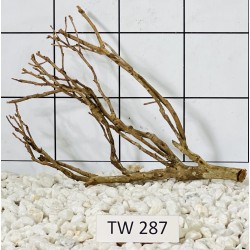 Talawawood 287