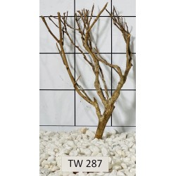 Talawawood 287
