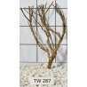 Talawawood 287