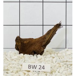 Bogwood 24