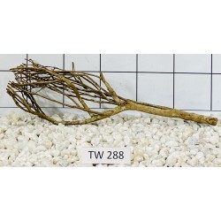 Talawawood 288