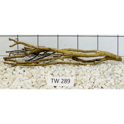 Talawawood 289