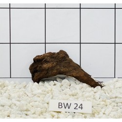 Bogwood 24